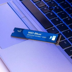 Hard Disk Western Digital WDS500G4B0E 500 GB SSD
