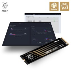 Hard Disk MSI SPATIUM M480 Pro 2 TB SSD