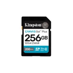 Scheda Di Memoria Micro SD con Adattatore Kingston SDG4/256GB 256 GB