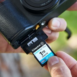 Scheda Di Memoria Micro SD con Adattatore Kingston SDG4/256GB 256 GB