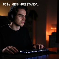 Hard Disk Western Digital WDS100T4X0E 1 TB SSD