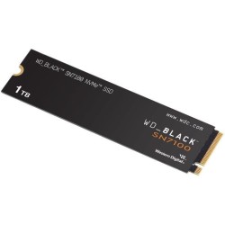 Hard Disk Western Digital WDS100T4X0E 1 TB SSD