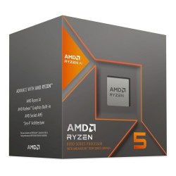 Processore AMD Ryzen 5 8600G AMD AM5