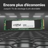 Hard Disk Crucial E100 2 TB SSD