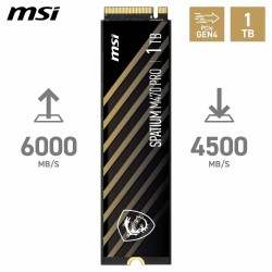 Hard Disk MSI S78-440L0J0-P83 1 TB SSD