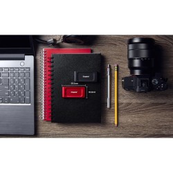 Hard Disk Esterno Kingston SXS1000R/1000G 1 TB SSD