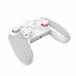 Pro Controller per Nintendo Switch + Cavo USB Mars Gaming GXT 1246W
