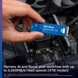 Hard Disk Western Digital WDS100T4B0E 1 TB SSD