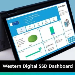 Hard Disk Western Digital WDS200T3B0A 2 TB SSD