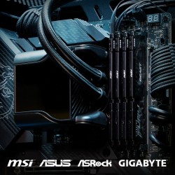 Memoria RAM Kingston Beast 32 GB DDR5 5600 MHz CL40