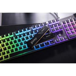 Memoria RAM Kingston Beast 16 GB DDR4 1600 mHz CL16