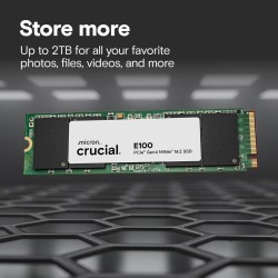Hard Disk Crucial Crucial E100 480 GB SSD