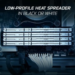 Memoria RAM Kingston Beast 32 GB DDR5 SDRAM DDR5 5600 MHz