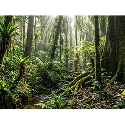 Laptop HP D4PG1ATABE 14" 32 GB RAM 512 GB SSD