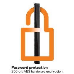 Hard Disk Esterno Western Digital My Passport Nero 1 TB HDD 1 TB SSD