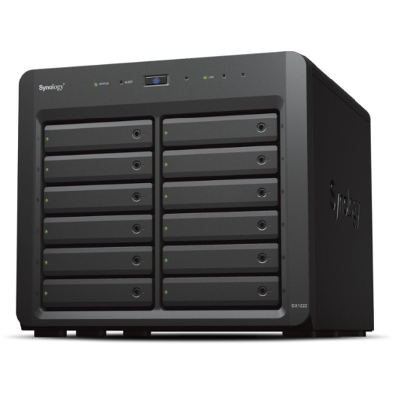 Memorizzazione in Rete NAS Synology DX1222 Nero