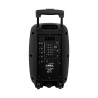 Altoparlante Bluetooth Portatile FONESTAR MALIBU-308 100 W