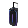Altoparlante Bluetooh Portatile con Microfono Woxter Rock'n'Roller ST Nero 100 W