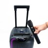 Altoparlante Bluetooh Portatile con Microfono Woxter Rock'n'Roller ST Nero 100 W