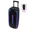Altoparlante Bluetooh Portatile con Microfono Woxter Rock'n'Roller ST Nero 100 W
