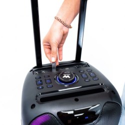 Altoparlante Bluetooh Portatile con Microfono Woxter Rock'n'Roller ST Nero 100 W