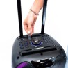 Altoparlante Bluetooh Portatile con Microfono Woxter Rock'n'Roller ST Nero 100 W
