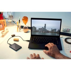 Hard Disk Esterno Western Digital WDBR9S0060BBK-WESN Nero 6 TB HDD